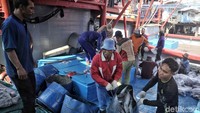 Para nelayan melakukan bongkar muat ikan, Minggu (8/4/2018).