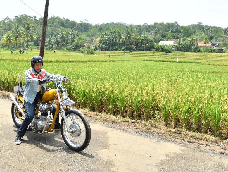 Presiden Jokowi naik motor saat meninjau program padat karya tunai di Sukabumi, Jabar. Foto: Laily Rachev-Biro Pers Setpres Presiden Jokowi naik motor saat meninjau program padat karya tunai di Sukabumi, Jabar. Foto: Laily Rachev-Biro Pers Setpres