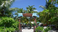 Sedangkan, Arborek merupakan kampung wisata di Raja Ampat. Di sana, masyarakat menjual hasil karya seperti gelang, kalung serta minyak kelapa (Shinta/detikTravel)