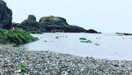 Foto: Sungguhan Ada, Ini Pantai Berpasir Kaca