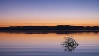 Pantai ini bernama Pantai Salton yang berada di California, Amerika Serikat. Pantai ini disebut pantai berhantu karena tidak ada lagi orang yang mau berkunjung ke sini. (thesaltonsea/Instagram)