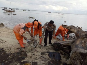 Polisi Duga Ada yang Sengaja Buang Minyak Hitam di Pulau Pari