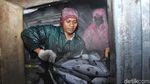 Kondisi Terkini Pelabuhan Ikan Muara Baru yang Bakal Jadi Modern