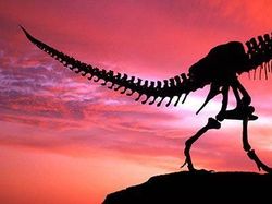 Berbagai Teori Punahnya Dinosaurus, dari Alien Sampai Kentut