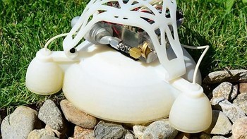Robot Katak. Para engineer dari Harvard, UC San Diego dan Weill Cornell Medical College terinspirasi bagaimana katak melompat saat menciptakan robot yang bisa meloncat ini. Body dari robot katak ini sendiri meniru ular dan larva serangga. Foto: The Pine Tree