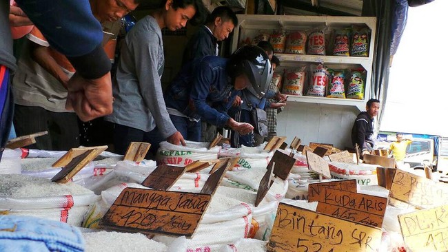 Simpang-siur Data Pangan, Pemerintah Bisa Kehilangan Kepercayaan