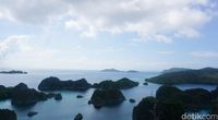 Pianemo (Shinta/detikTravel)