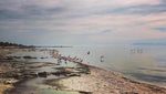 Foto: Pantai Paling Suram di Dunia