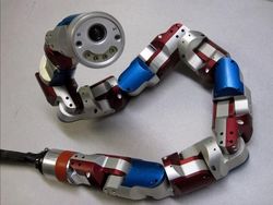 Robot-robot Canggih Ini Meniru Hewan