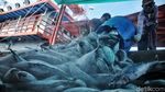 Kondisi Terkini Pelabuhan Ikan Muara Baru yang Bakal Jadi Modern