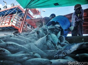 Akses Keuangan bagi Kaum Nelayan