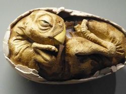Berbagai Teori Punahnya Dinosaurus, dari Alien Sampai Kentut