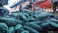 Saat ini di kawasan tersebut sedang dibangun pasar ikan dengan konsep modern.