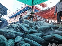 70% Wilayahnya Lautan, Kok Indonesia Masih Impor Ikan?