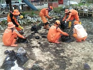 Tumpahan Minyak Misterius di Pulau Pari Sepanjang 10 Meter