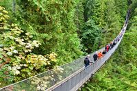 Bebaskan Dirimu dan Berlayarlah di Semenanjung Alaska