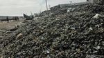 Limbah Kerang Hijau Menggunung di Cilincing