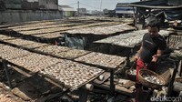 Ikan asin tersebut dijemur di bawah terik matahari.