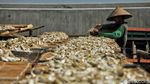 Produksi Ikan Asin di Cilincing Menurun