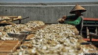 Hal ini disebabkan bahan baku ikan dan cuaca yang buruk di laut.