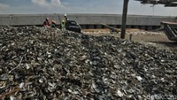 Kawasan tersebut telah mengalami pencemaran lingkungan akibat limbah kerang.