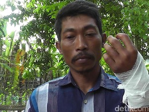 Melawan, Ular Piton Gigit Tangan Pawang Ular di Rembang
