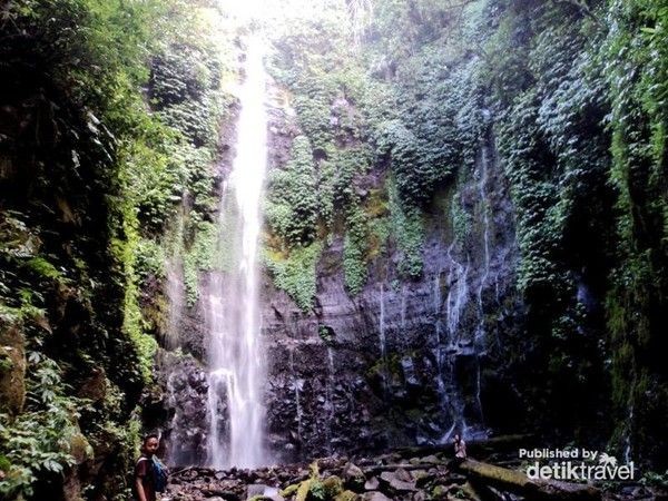 Dari jalan raya, dibutuhkan waktu 20 menit untuk mencapai pintu masuk air terjun. Di pintu masuk, kita hanya perlu membayar retribusi yang cukup terjangkau (Rivai Hidayat/dTraveler) Dari jalan raya, dibutuhkan waktu 20 menit untuk mencapai pintu masuk air terjun. Di pintu masuk, kita hanya perlu membayar retribusi yang cukup terjangkau (Rivai Hidayat/dTraveler)