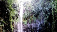 Dari jalan raya, dibutuhkan waktu 20 menit untuk mencapai pintu masuk air terjun. Di pintu masuk, kita hanya perlu membayar retribusi yang cukup terjangkau (Rivai Hidayat/dTraveler)