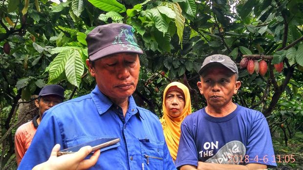 Dapat Sertifikat Gratis dari Jokowi, Usaha Petani Ini Berlipat