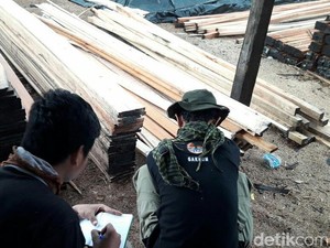 Beroperasi 1 Tahun, Pabrik Kayu Ilegal di Sumsel Dibongkar