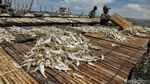 Produksi Ikan Asin di Cilincing Menurun