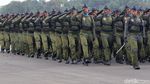 Parade Pasukan dan Alutsista Tutup Kemeriahan HUT TNI AU