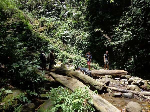 Pemandangan di Curug Lawe akan menghapus kelelahan yang ada. Karena, perjalanan menuju air terjun cukup lama, yaitu sekitar 1-1,5 jam perjalanan (Tri VidyaTomo/dTraveler) Pemandangan di Curug Lawe akan menghapus kelelahan yang ada. Karena, perjalanan menuju air terjun cukup lama, yaitu sekitar 1-1,5 jam perjalanan (Tri VidyaTomo/dTraveler)