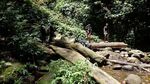 Ide Liburan di Semarang, Curug Lawe yang Segar