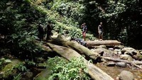 Pemandangan di Curug Lawe akan menghapus kelelahan yang ada. Karena, perjalanan menuju air terjun cukup lama, yaitu sekitar 1-1,5 jam perjalanan (Tri VidyaTomo/dTraveler)