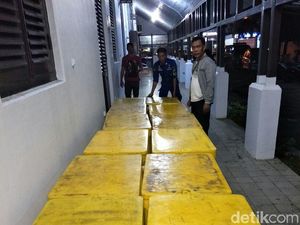 Polisi Tangkap Penyelundup 107.525 Ekor Baby Lobster