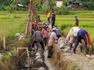 Siap-siap! Padat Karya Tunai Sasar 655 Ribu Orang, Totalnya Rp 13 T