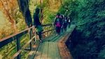 Ide Liburan di Semarang, Curug Lawe yang Segar