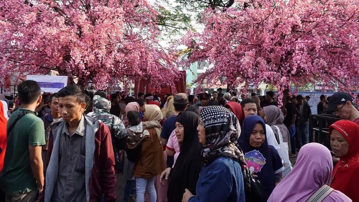 PT Lippo Cikarang (LPCK) menggelar Festival Budaya Sakura Matsuri 2018 sebagai salah satu peringatan 60 tahun hubungan diplomatik Indonesia-Jepang.