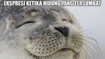Buat yang Pilek, 8 Meme Ini Mungkin Menggambarkan Perasaan Kamu