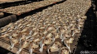 Menurut warga setempat produksi ikan asin dalam satu bulan terakhir.