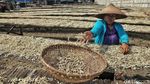 Produksi Ikan Asin di Cilincing Menurun