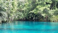 Jangan tertipu ya, walau dasar danau bisa terlihat, kedalaman danau dua rasa ini mencapai 4-5 meter lho: (titry frilyani/dTraveler)