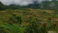 5 Destinasi Liburan Populer yang Ada di Makassar