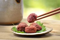 Ini 5 Sajian Alami yang Dikonsumsi Warga Jepang Saat Terserang Flu
