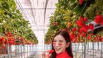 Mengintip Gaya Makan Mewah Jamie Chua, Sosialita Singapura yang Awet Muda
