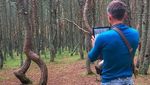 Foto: Pohon-pohon yang Menari