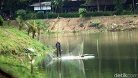 Situ Gintung juga dimanfaatkan warga untuk budidaya benih udang.