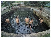 Wisatawan mandi di Mata Air Senjoyo (agus.em/Instagram)