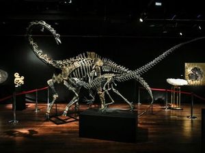 Video Wujud 3 Fosil Dinosaurus Jurassic yang Terjual Rp 251 M